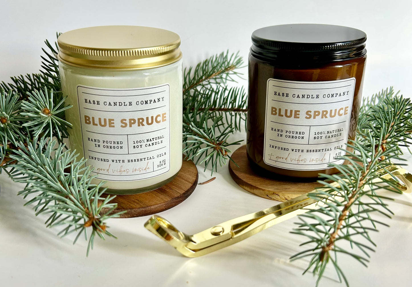 BLUE SPRUCE