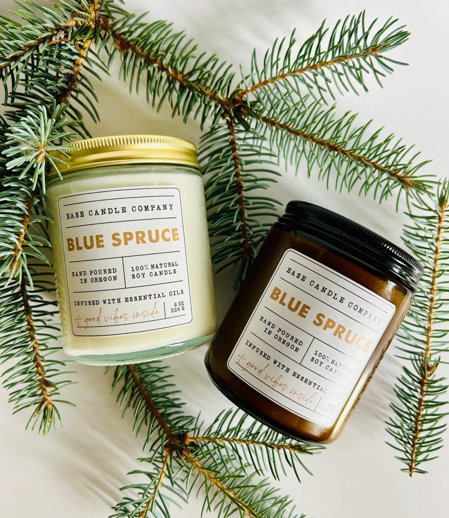 BLUE SPRUCE